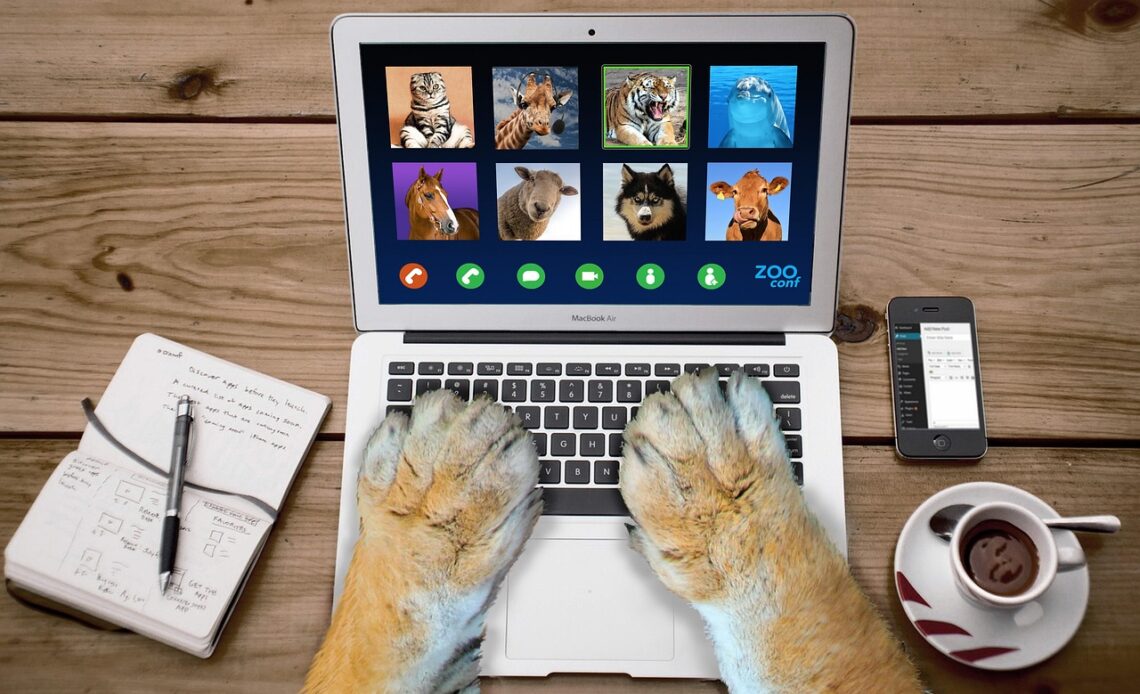 How to Ruin Zoom Meetings Without Saying a Word